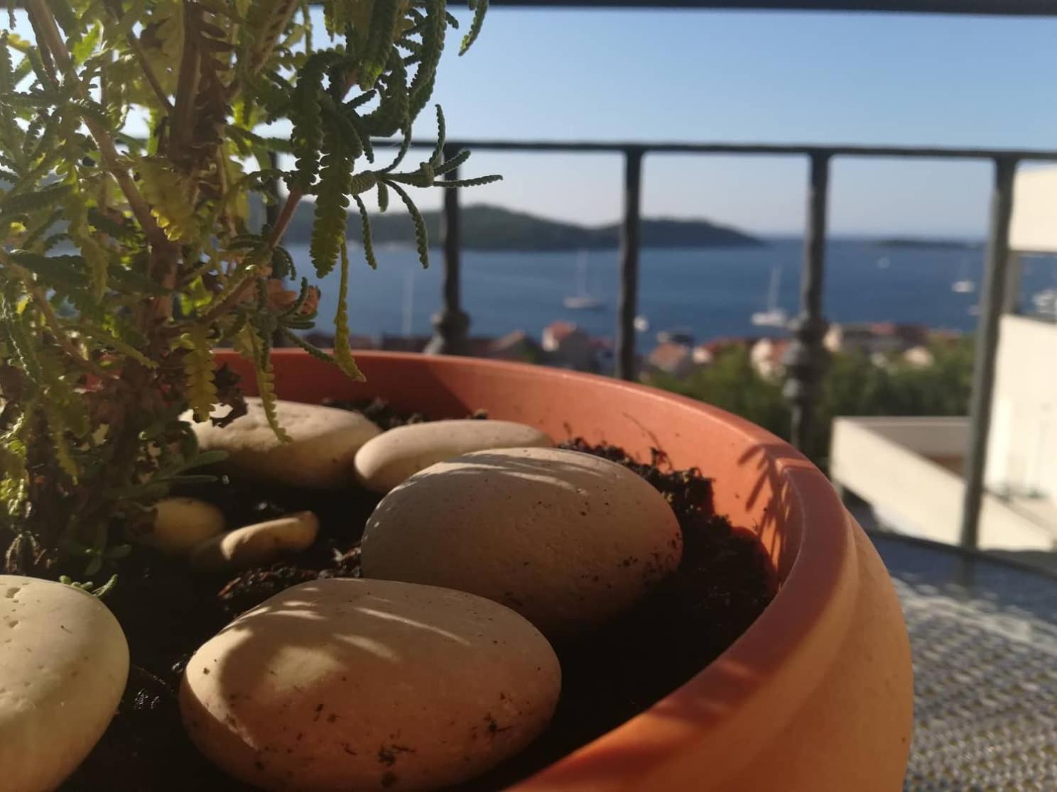 A Lovely And Cozy Room With A Breathtaking View Vis Dış mekan fotoğraf
